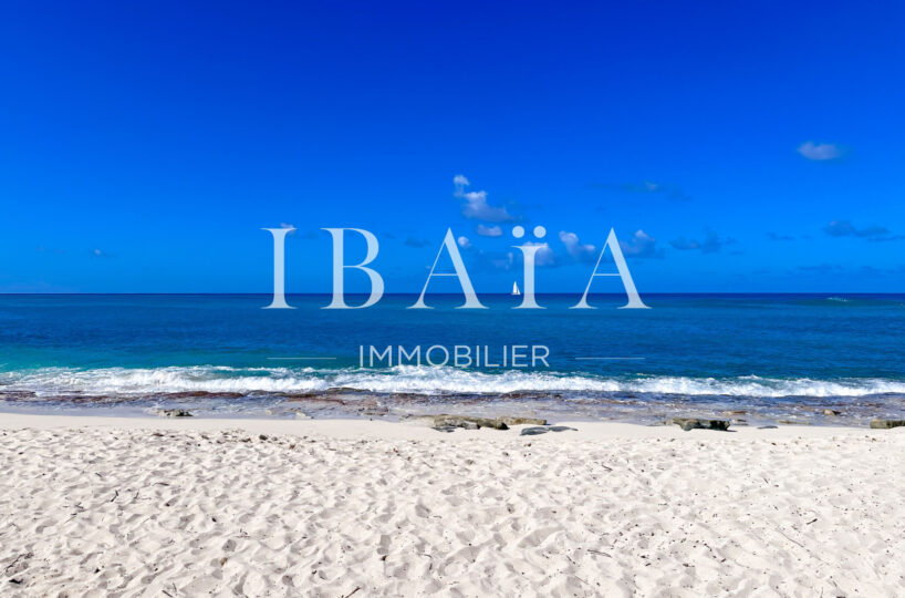 Agence IBAIA Immobilier - TERRES BASSES - TERRAIN VUE MER