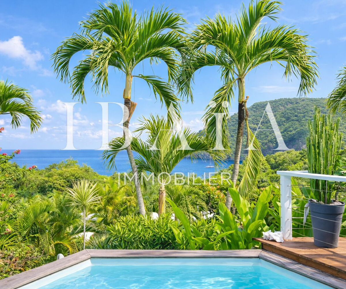 Agence IBAIA Immobilier - DESHAIES - VILLA VUE MER