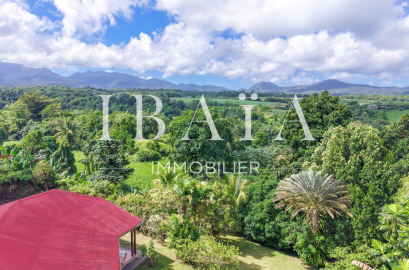 Agence IBAIA Immobilier - EXCLUSIVITÉ - PETIT-BOURG - MAGNIFIQUE VUE MONTAGNE - VILLA