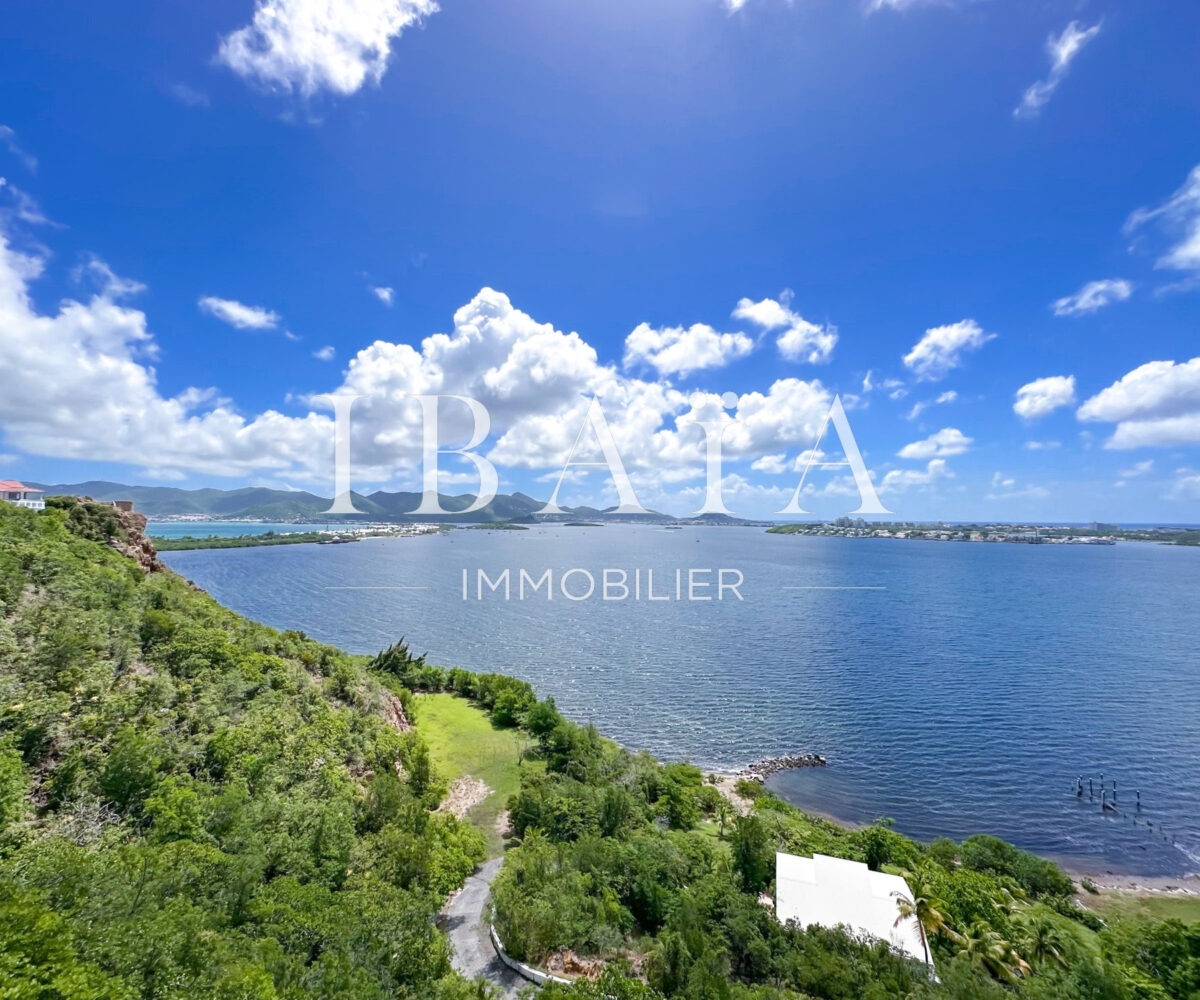 Agence IBAIA Immobilier - TERRES BASSES - VILLA D'EXCEPTION AU BORD DE L'EAU BÉNÉFICIA