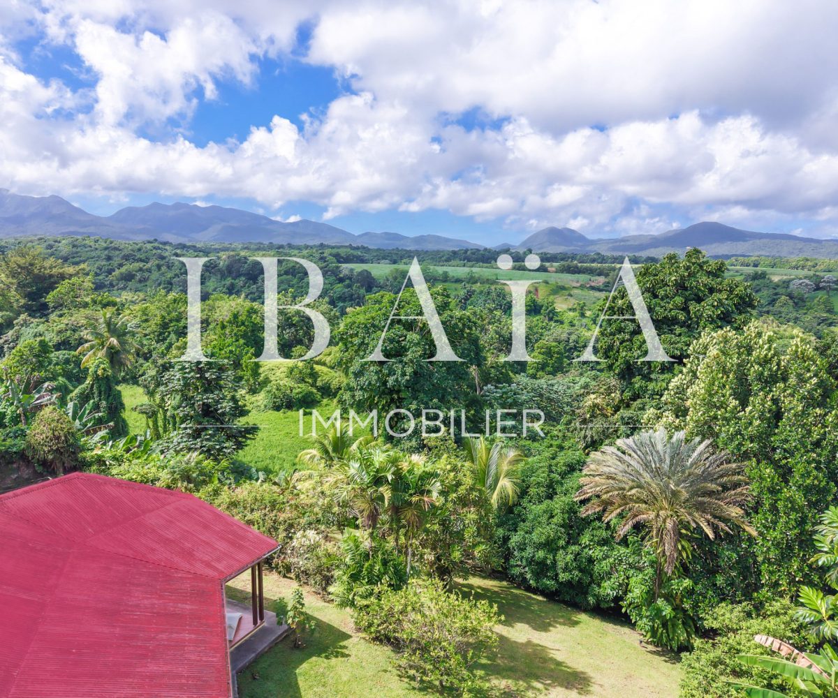 Agence IBAIA Immobilier - EXCLUSIVITÉ - PETIT-BOURG - MAGNIFIQUE VUE MONTAGNE - VILLA