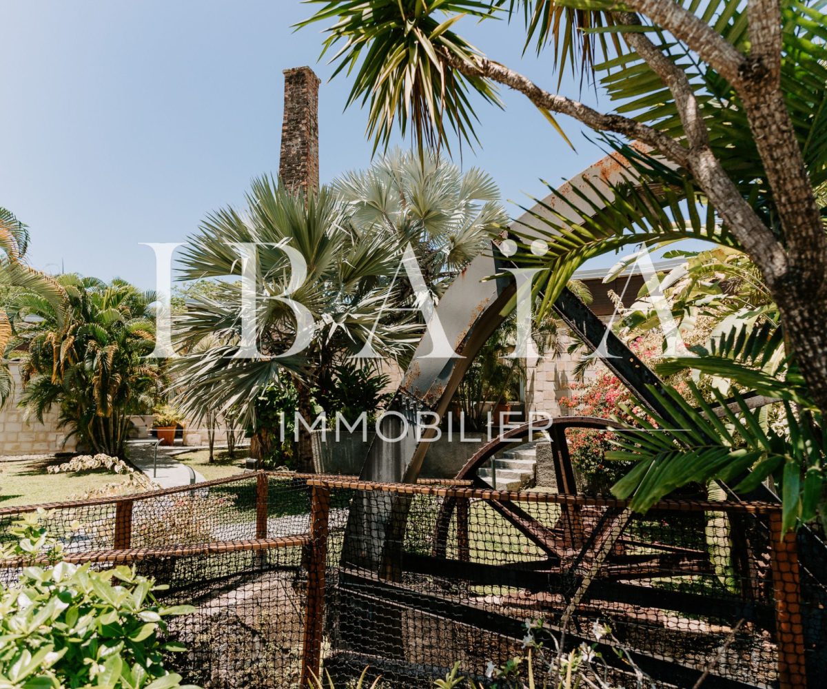 Agence IBAIA Immobilier - PETIT-BOURG - PROPRIÉTÉ D'EXCEPTION DATANT DU XIXe SIÈCLE