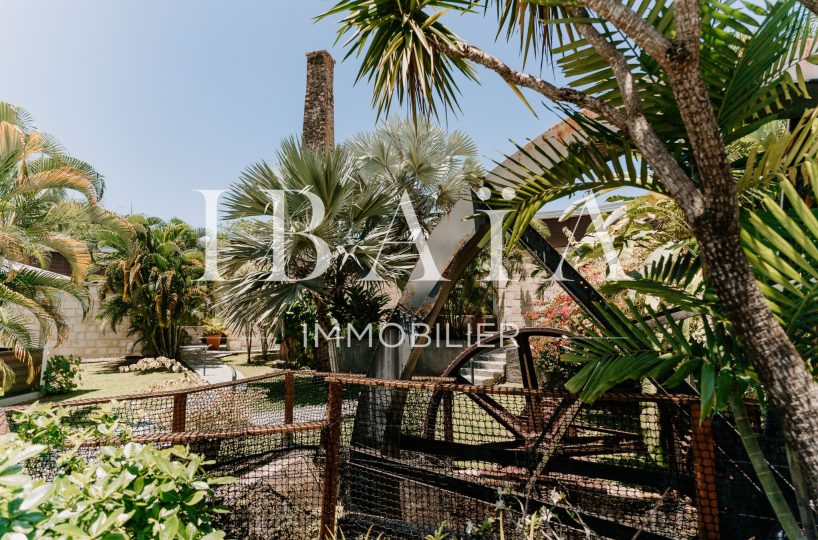 Agence IBAIA Immobilier - PETIT-BOURG - PROPRIÉTÉ D'EXCEPTION DATANT DU XIXe SIÈCLE