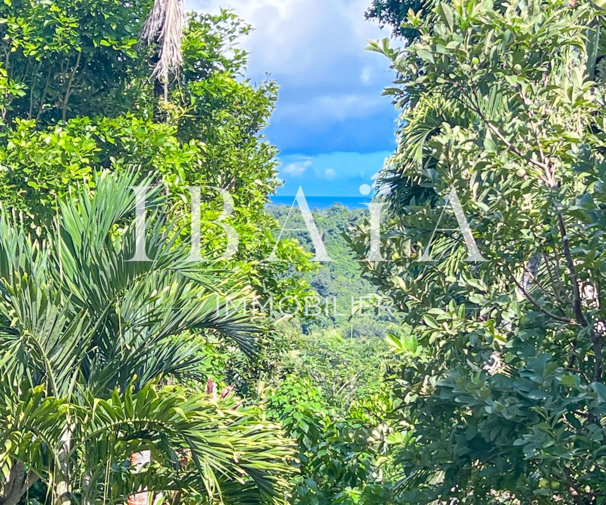 Agence IBAIA Immobilier - PETIT-BOURG - TERRAIN CONSTRUCTIBLE - SUPERFICIE DE 14 466 M