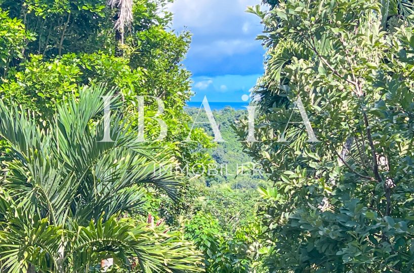 Agence IBAIA Immobilier - PETIT-BOURG - TERRAIN CONSTRUCTIBLE - SUPERFICIE DE 14 466 M