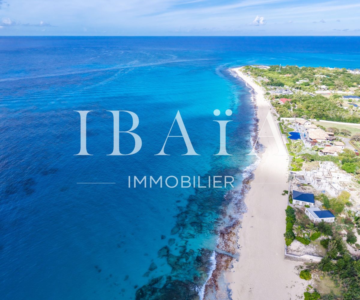 Agence IBAIA Immobilier - Propriété aux Terres Basses - Vue mer - 2 Villas