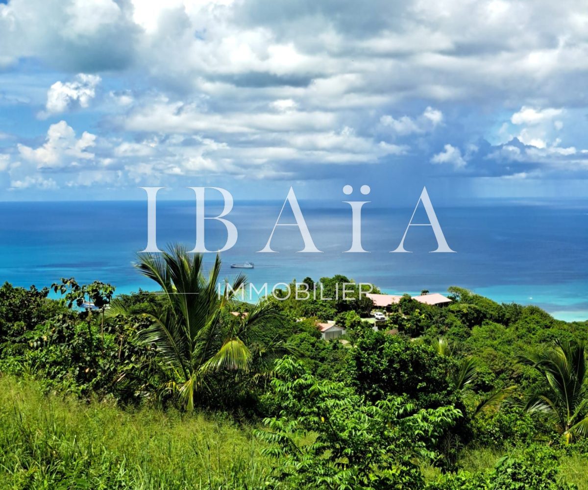 Agence IBAIA Immobilier - SAINT-MARTIN - TERRAIN VUE MER