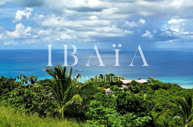 Agence IBAIA Immobilier - SAINT-MARTIN - TERRAIN VUE MER