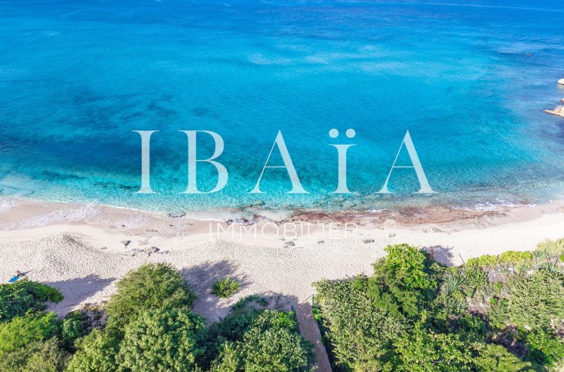 Agence IBAIA Immobilier - TERRES BASSES - TERRAIN VUE MER