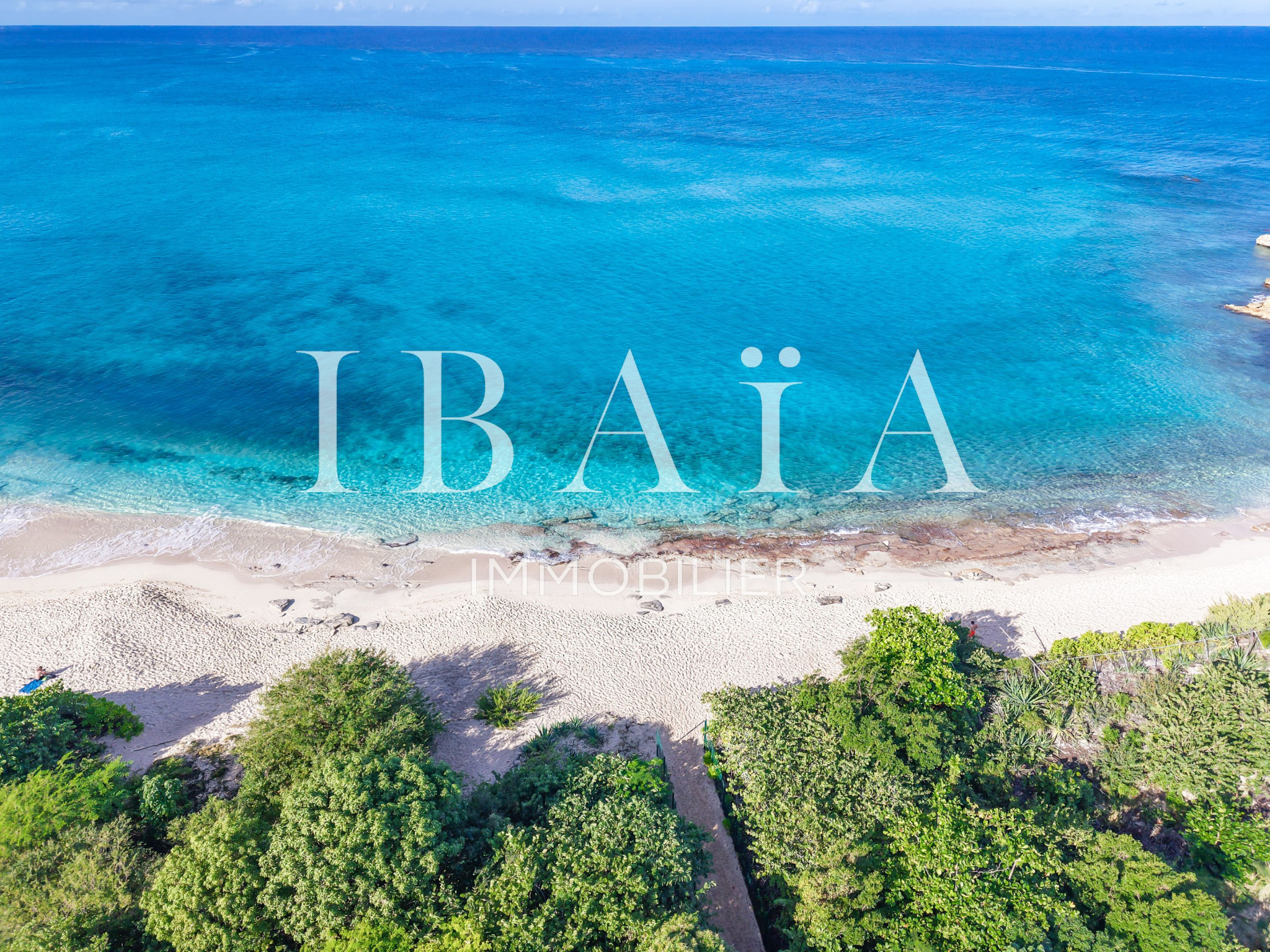 Agence IBAIA Immobilier - TERRES BASSES - TERRAIN VUE MER