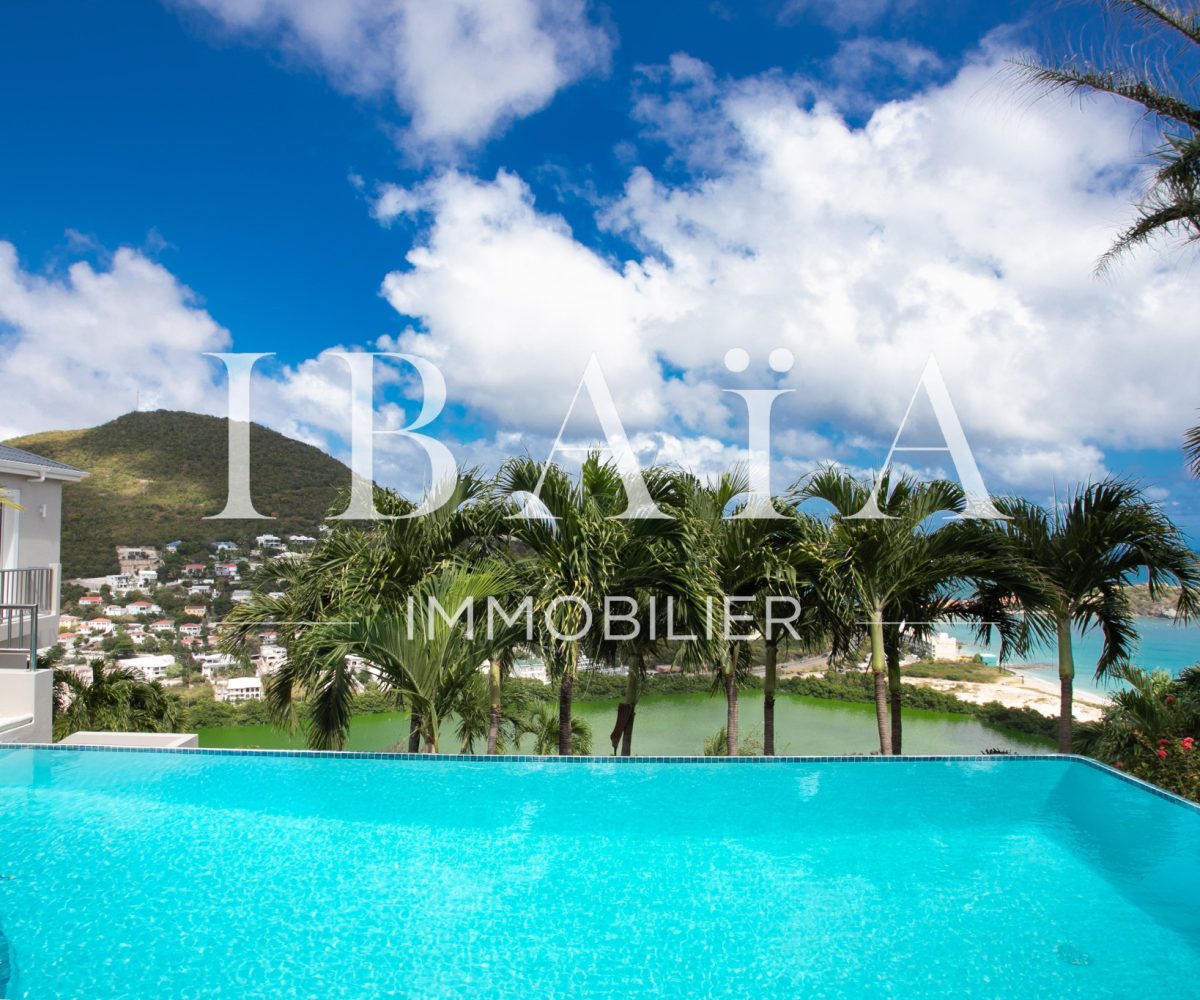 Agence IBAIA Immobilier - RENTABILITÉ IMPORTANTE - VILLA D'EXCEPTION - SAINT-MARTIN PA