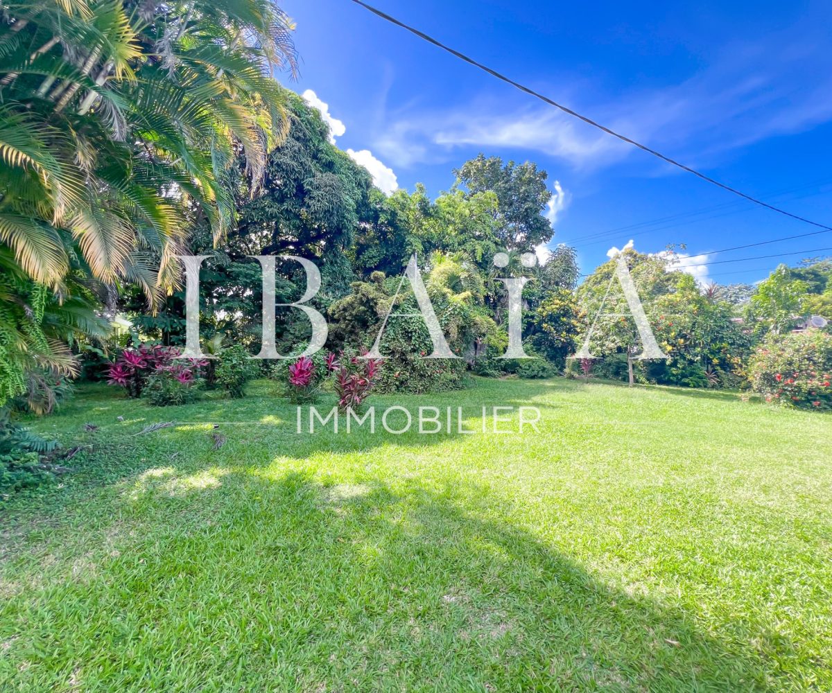 Agence IBAIA Immobilier - PETIT-BOURG - TERRAIN CONSTRUCTIBLE - SUPERFICIE DE 14 400M2